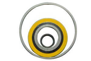 Spiral Wound Gaskets with Graphite or PTFE Filler