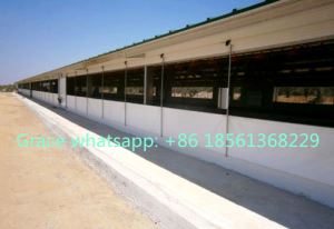 Open Sided Poultry House