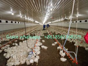 Broiler Poultry Farming Equipment