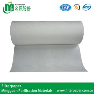 Mingguan H10 Air Filter Paper mask material