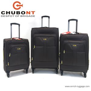 Spinner Luggage Sets