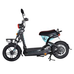 E Scooter Kit with Pedal Assistant for Vietnam