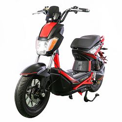 60V 800W Utility Electric Scooter for Adult
