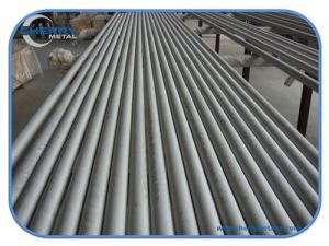 China Duplex and Super Duplex Stainless Steel Tube S31803 S32205 S32750