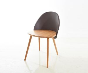 Plastic Chair-DC-S099A