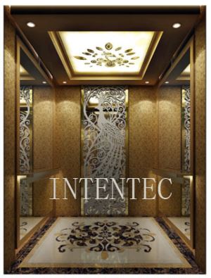 Fashion New Design Of Home Lift Home Elevator