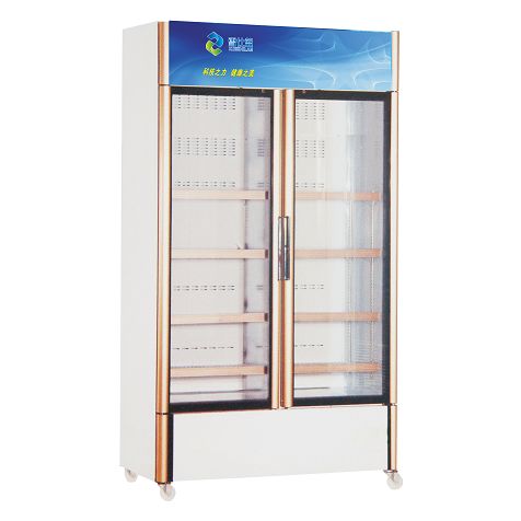 Side by Side Double Glass Door Upright Display Freezers for Drinks or Beverage with Customized AD Lamp Boxes