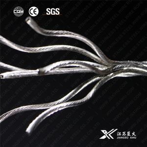 8x7+1x19 Steel Wire Ropes/cables for Cntrolling,304,316,316L