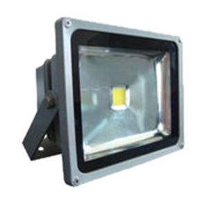 PIR LED Floodlights, 50-100W RYS-TS65