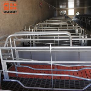 High Quality And Best Design Livestock Breeding Pen Stall For Pigs Pig House Stall