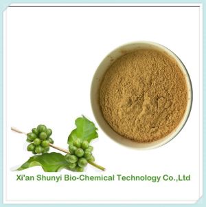 Green Coffee Bean Extract | Natural Green Coffee Bean Extract Chlorogenic Acids