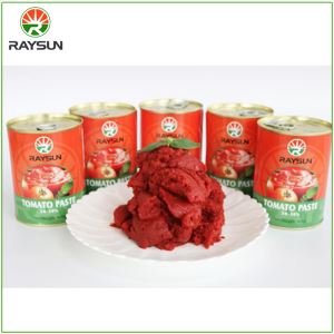 Canned Fresh Tomato Paste Sauce 400g