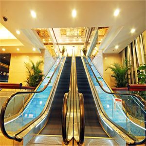 Titanium Coated and Etching Closed Type Elevator with Hairline Escalator for the Shopping Arcade