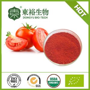 Lycopene Powder Tomato Extract