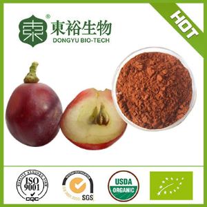 Grape Seed Extract Proanthocyanidins Powder