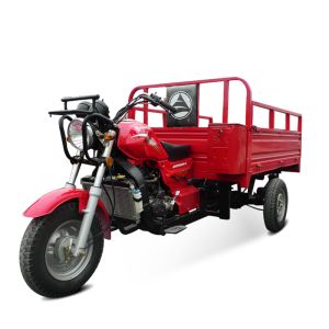 150cc Pedicab Air Cooled Cargo Ticycle