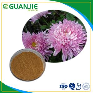 Chrysanthemum Flower Extract Powder Pure Natural Chrysanths Extract with Free Sample