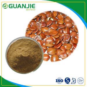 Ziziphi Seed Extract Chinese Herbal Jujubosides Pure Nature Spine Date Seed Extract Sleep Health
