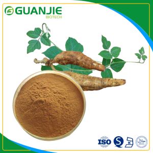 Kudzu Root Extract 100% Natural Anti-aging Best Quality with Free Sample