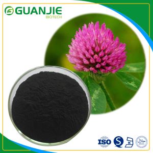Pure Trifolium Pratense/Red Clover Blossoms Extract Isoflavones Powder with Competitive Price