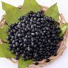 Black Soybean Hull Extract/Black Bean Hull Extract Sample Free Pure Nature Extract