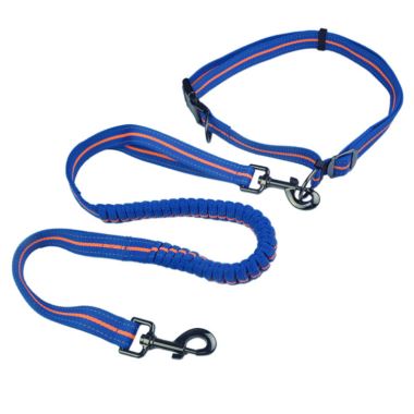 Hands Free Outdoor Elastic Dog Running Leash for Runners