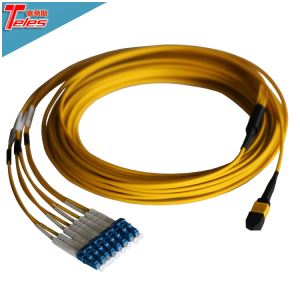 Fiber Optic 8F MPO MTP LC Singlemode Harness OS2 Plenum Cable Assembly