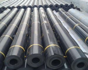 Waterproof Material Smooth Geomembrane Liner for Dike and Dam
