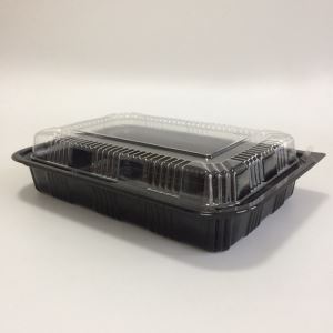 Pop disposable sushi Tray