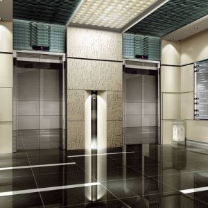 New Machine Room Less Elevator Indoor Electric Traction Elevator Belt MRL Lift
