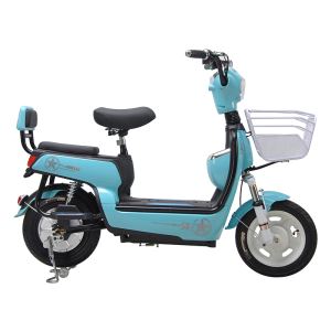 Girl Two Seat Electric Fat Bike 350W for Sale in China