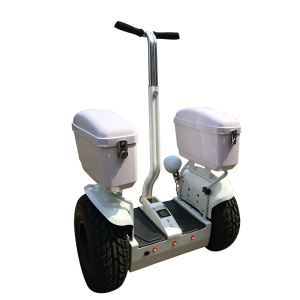 Top Two Wheel Stand Up Self Balancing Electric Scooter Skateboard