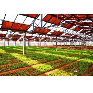 Exported Cheap Solar PV Greenhouse Support According to Your Drawings