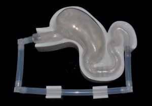 3d Printed Transparent-silicone Stomach Model