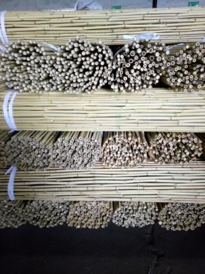 Natural Garden Bamboo Fencing Roll Pierced by Galvanized Wire
