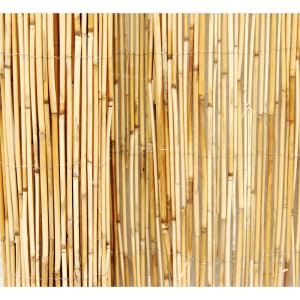 Natural Peeled Garden Reed Fence without Skin Woven with Nylon Rope