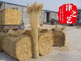 Natural Reed Wall with Plastic-coated Wire or Nylon Rope Natural Color