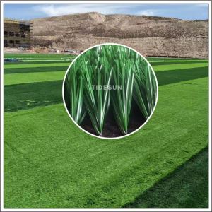 Artificial Grass Pitch