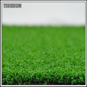 Faux Grass Rug Indoor Golf Putting Green