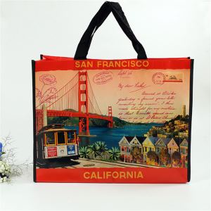 New Printed 100g PP Woven Promotion Shopping Bag on Sale