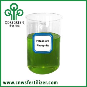 Concentrated Liquid Potassium Phosphite Fertilizer for Immune Fungicide Root Growth