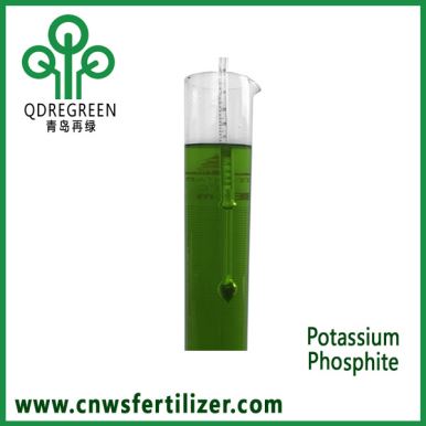 Potassium Phosphite Solution Fertilizer for Phosphorus Deficiency in Plants Nutrients