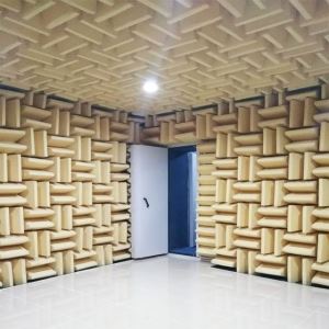 Hemi Anechoic Chamber Acoustic Silent Construction Most Quiet Room in the World