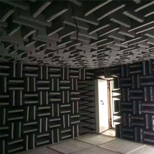Largest Anechoic Chamber Acoustic Block Hallucinations the Most Silent Place Sound Test Room