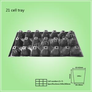 21 Cell Tray