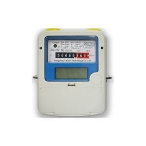 Steel Case Gas Meter