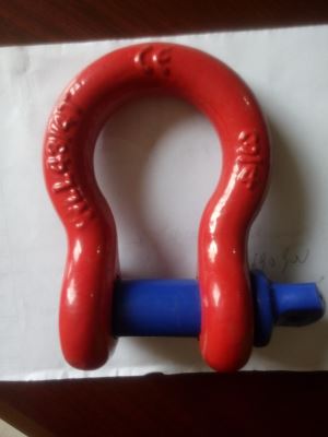Painted Srew Pin Anchor Shackle