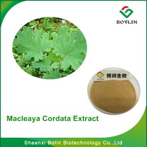 Macleaya Cordata Extract/china Herb Extract Company Supply 10~50% Sanguinarine & Chelerythrine( Alkaloids) With Free Samples