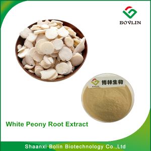White Peony Root Extract/hot Selling Chinese Traditional Medicine 10% 50% 98% Paeoniflorin White Peony Root Extract