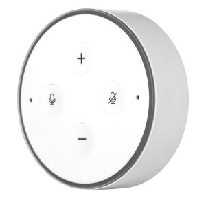 Echo Dot And Alexa Smart Sound Bluetooth Speaker